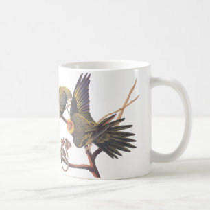 Café Caneca do Parakeet de Audubon Carolina