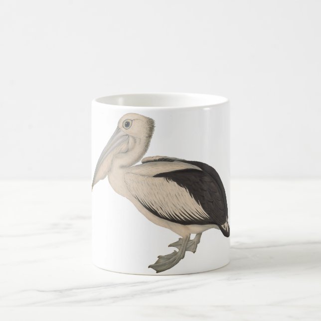 Café Caneca do pelicano de John Gould (Centro)