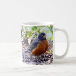 Café Caneca do pisco de peito vermelho
