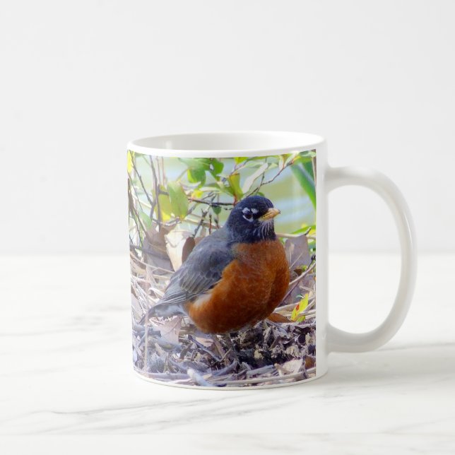 Café Caneca do pisco de peito vermelho (Direita)