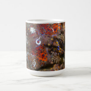 Café Caneca do rei caranguejo de Puget Sound