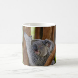 Café Caneca do urso de Koala