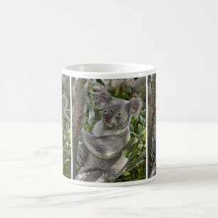 Café Caneca do urso de Koala 2