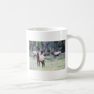 Café Caneca dos alces de Bull