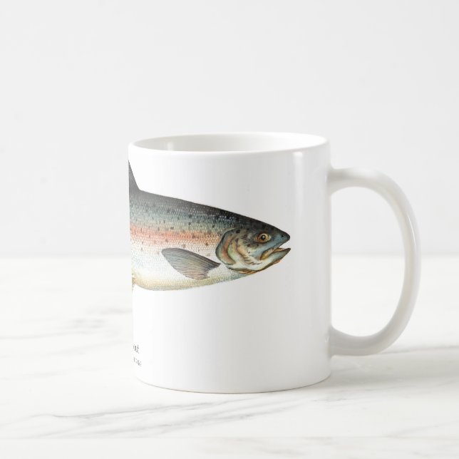 Café Caneca dos peixes da truta de arco-íris (Direita)