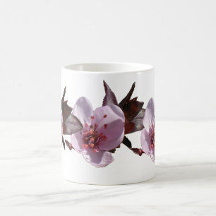 Café Caneca - Flor de ameixa