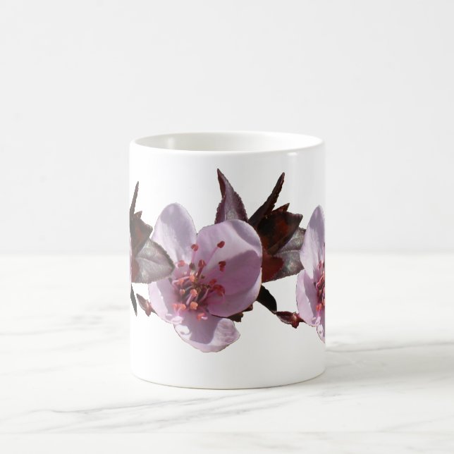 Café Caneca - Flor de ameixa (Centro)