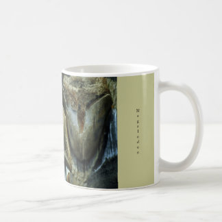 Café Caneca fóssil dos dentes do tubarão de Megalodon