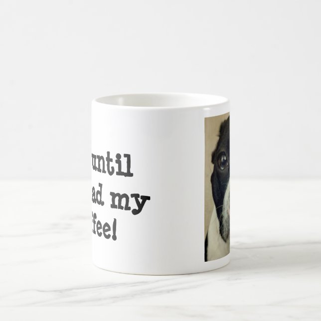 Café Caneca Grouchy de Boston Terrier (Centro)