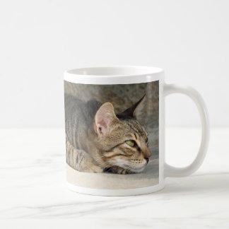 Café Caneca pensativa adorável do gato de gato malhado
