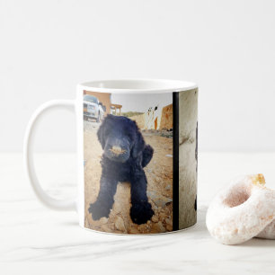 Café Caneca preta de Terrier do russo