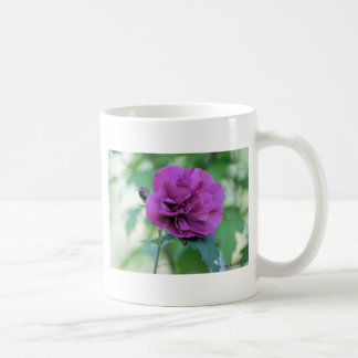 Café Caneca Rosa de Sharon