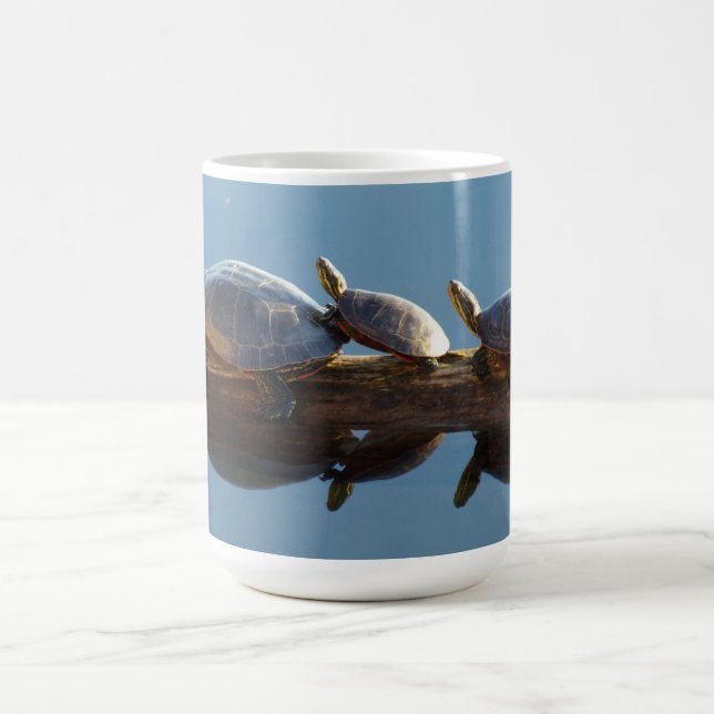 Café Caneca Trio de Tartarugas (Centro)