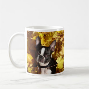 Café Cão de Boston Terrier cercado pela caneca das