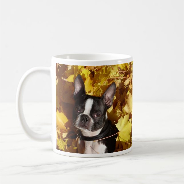 Café Cão de Boston Terrier cercado pela caneca das (Esquerda)