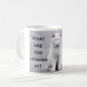 Café Divertimento o que são você que olha a caneca de