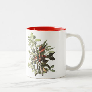 Café Em Dois Tons A caneca do pássaro de Audubon, terra mergulhou,