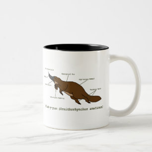 Café Em Dois Tons A caneca surpreendente de Platypus