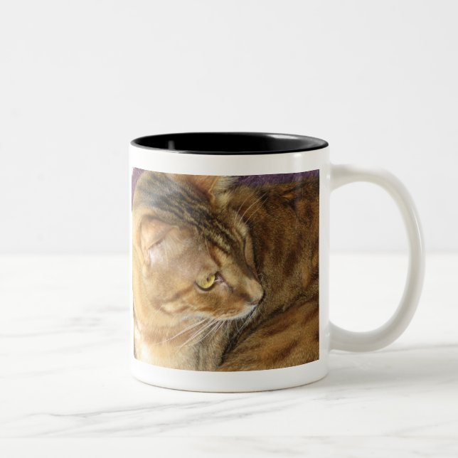 Café Em Dois Tons Brilhos de Kishka na caneca do ouro (Direita)