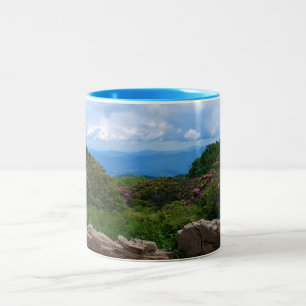 Café Em Dois Tons Caneca azul do primavera de Ridge