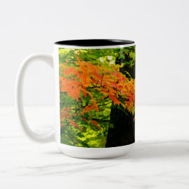Café Em Dois Tons Caneca das folhas de outono