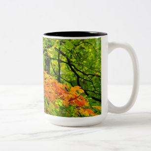 Café Em Dois Tons Caneca das folhas de outono