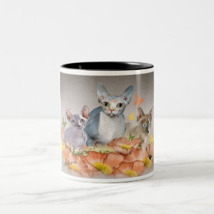 Café Em Dois Tons caneca de 3 gatinhos do sphynx