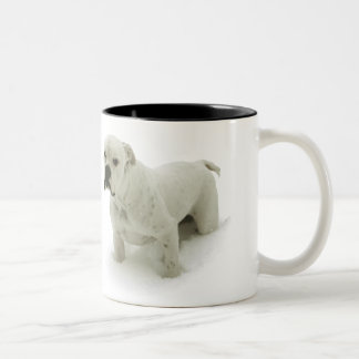Café Em Dois Tons Caneca de Bull da neve