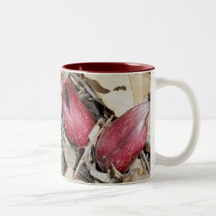 Café Em Dois Tons Caneca de couve-tronco (Symplocarpus foetidus (L.)
