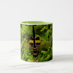 Café Em Dois Tons Caneca de Dragão Negro e Amarelo