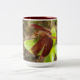 Café Em Dois Tons Caneca de Dragonfly Vermelha e Preta