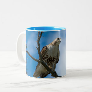 Café Em Dois Tons Caneca de Duas Cores 11 oz Falcão à Caça Azul