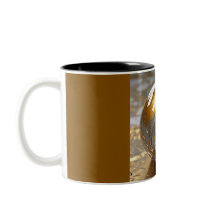 Caneca de Duas Cores 11oz (Mármore-4)