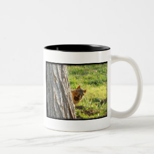 Café Em Dois Tons Caneca de esquilo