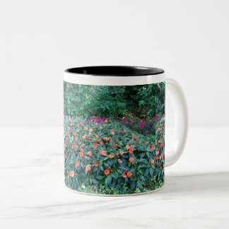 Café Em Dois Tons Caneca de Flor