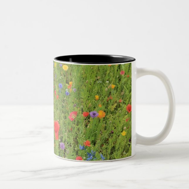 Café Em Dois Tons Caneca de flores silvestres Primavera Foto Duas Co (Direita)
