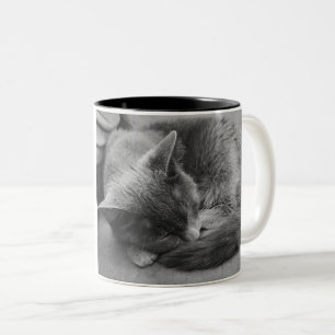 Café Em Dois Tons Caneca de gato dormente