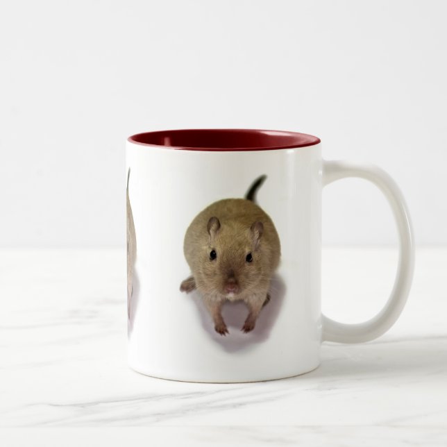 Café Em Dois Tons Caneca de Gerbil (Direita)