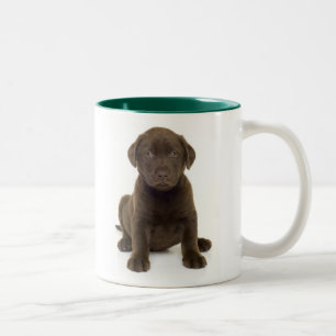 Café Em Dois Tons Caneca de Labrador do chocolate