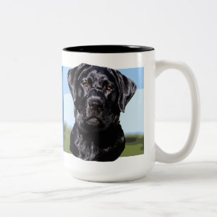 Café Em Dois Tons Caneca de labrador retriever
