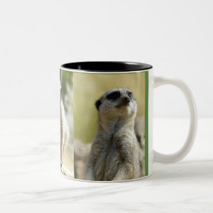 Café Em Dois Tons Caneca de Meerkat