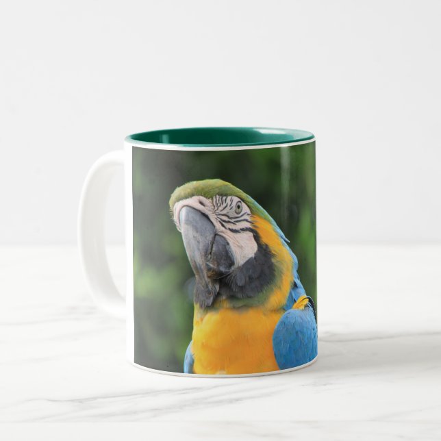 Café Em Dois Tons Caneca de Papagaio (Frente Esquerda)