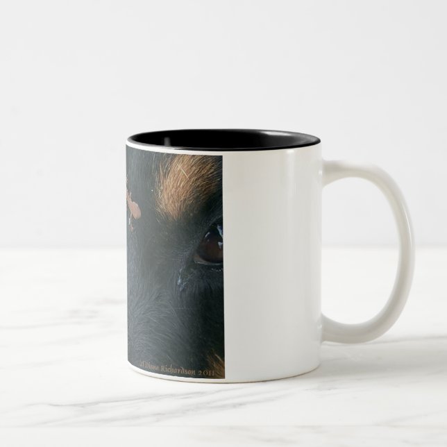 Café Em Dois Tons Caneca de Rottweiler & de salamandra (Direita)