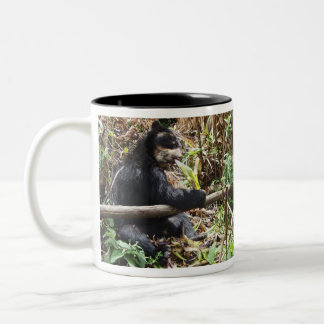 Café Em Dois Tons Caneca do Coya de Clair