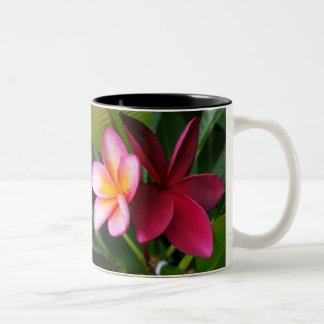 Café Em Dois Tons Caneca do Frangipani: Por do sol de Darwin &