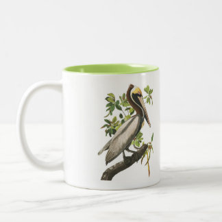 Café Em Dois Tons Caneca do pássaro de Audubon, pelicano de Brown,