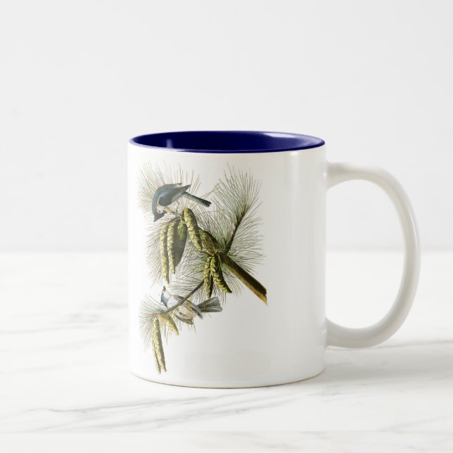 Café Em Dois Tons Caneca do pássaro de Audubon, Titmouse adornado, (Direita)