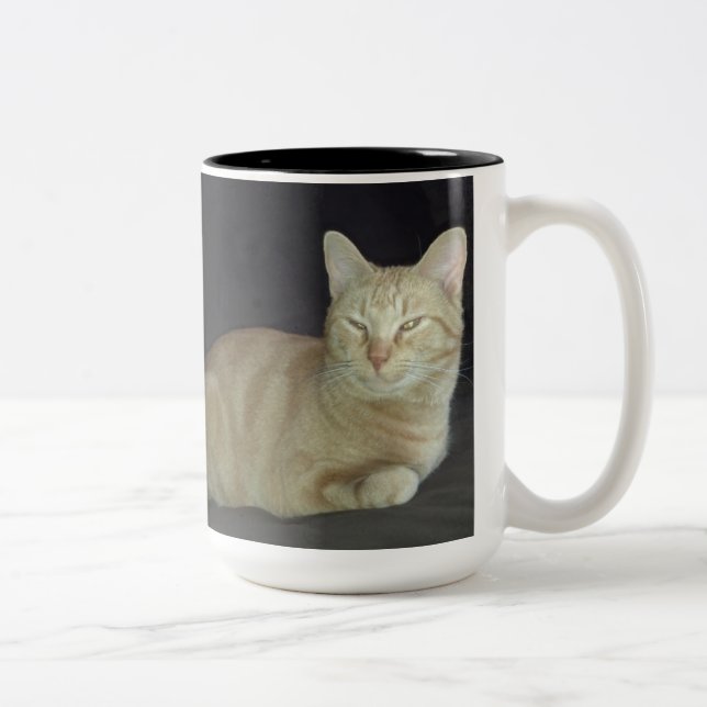 Café Em Dois Tons Caneca do retrato do gato de Oscar (Direita)