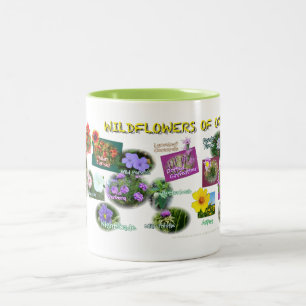 Café Em Dois Tons caneca dos Wildflowers de hv19 Oklahoma