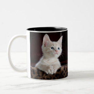 Café Em Dois Tons caneca dupla de gato